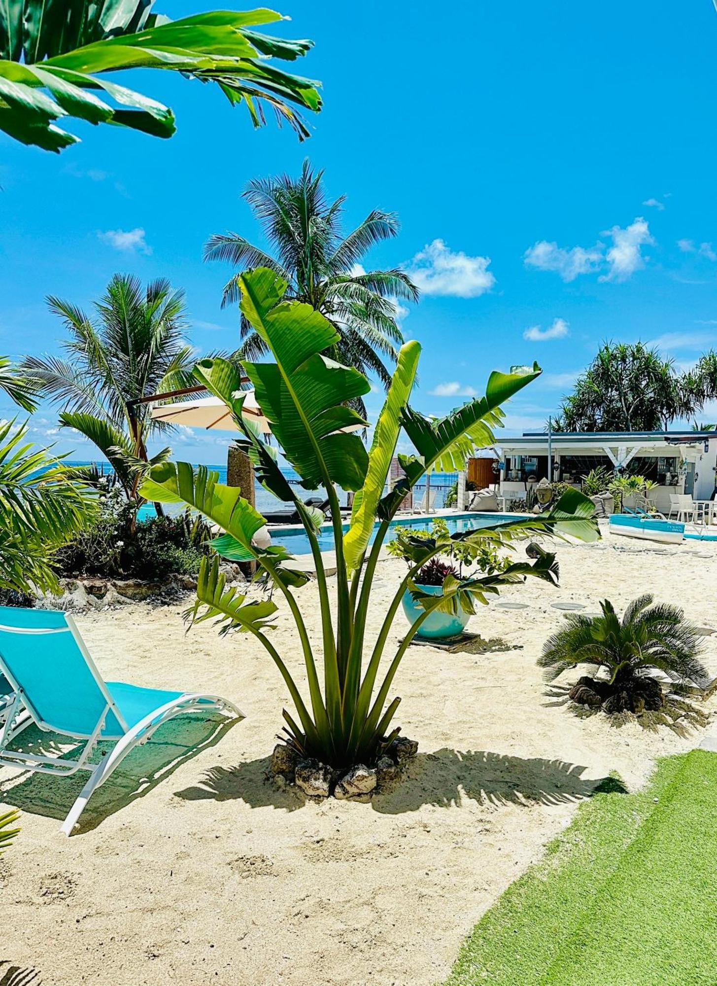 אוטורואה Pension Irivai, Appartement Uo Uo 3 Chambres Vue Mer מראה חיצוני תמונה